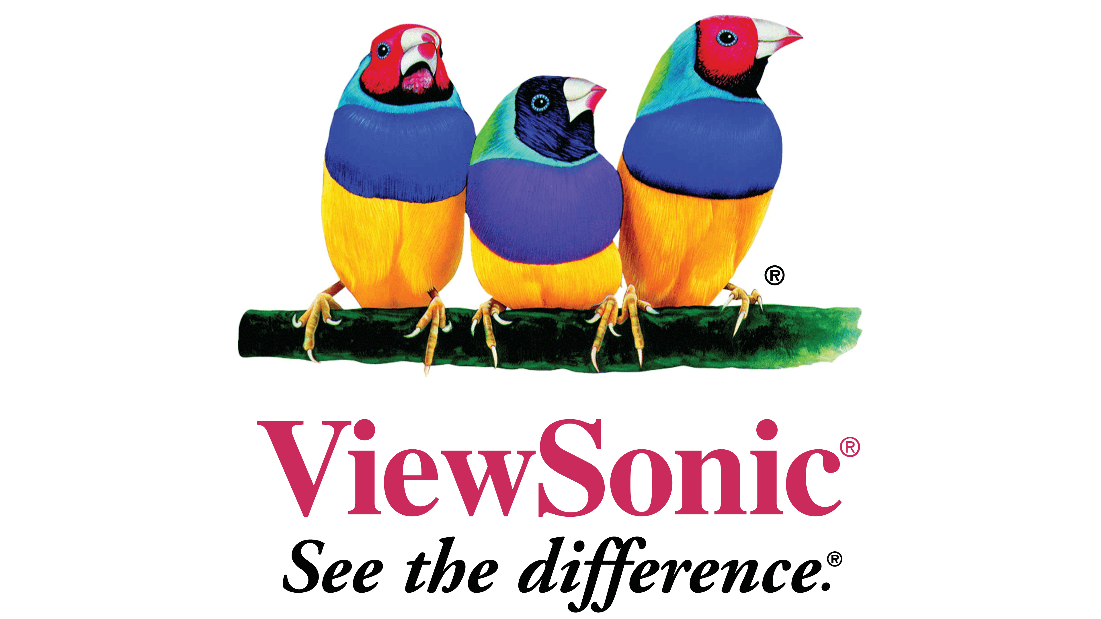 ViewSonic